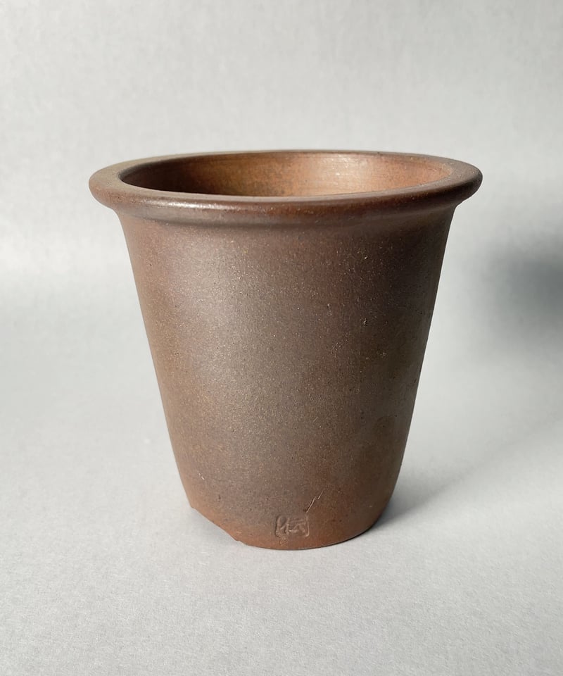 蘭鉢　落鑑有り 楽天市場】洋蘭プラ鉢 4号 10個 黒ラン鉢 プラ鉢 12cm 洋ラン鉢