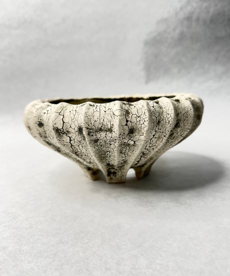 CATEGORY 石塚花弓 | t.roots