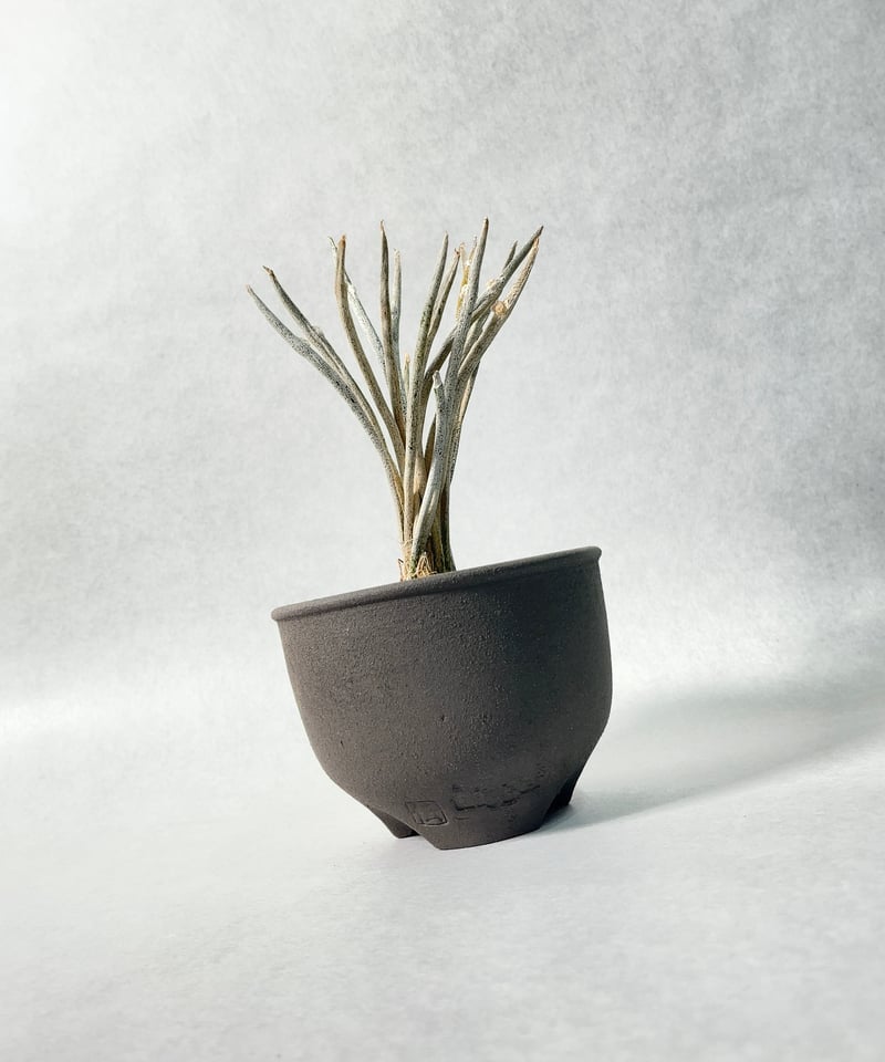 黒燻伝市鉢・S | t.roots