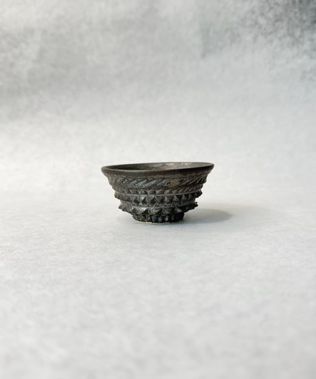 CATEGORY 新里竜子 | t.roots