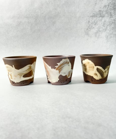 NOBORIBI WHITE・ＳＳ １