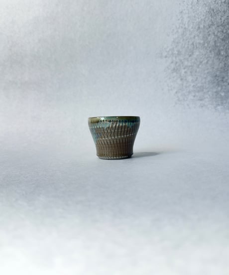 日照雨・ＳＳ  2026