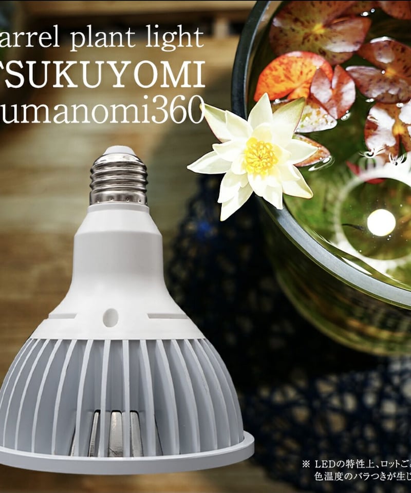 TSUKUYOMI LED 20W | t.roots