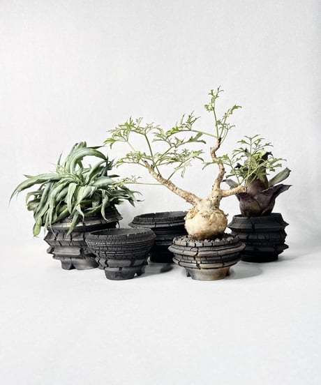 宮島將實 鉢作品 １３