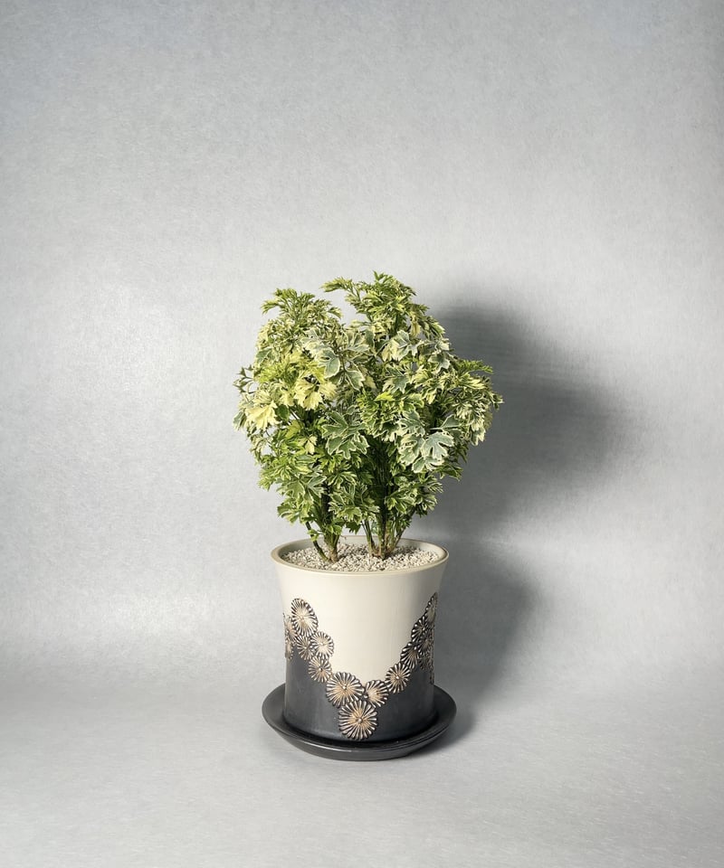 石塚花弓 植木鉢 新品未使用 Hanayumi /trigger トリガー 石塚花弓 | t.roots