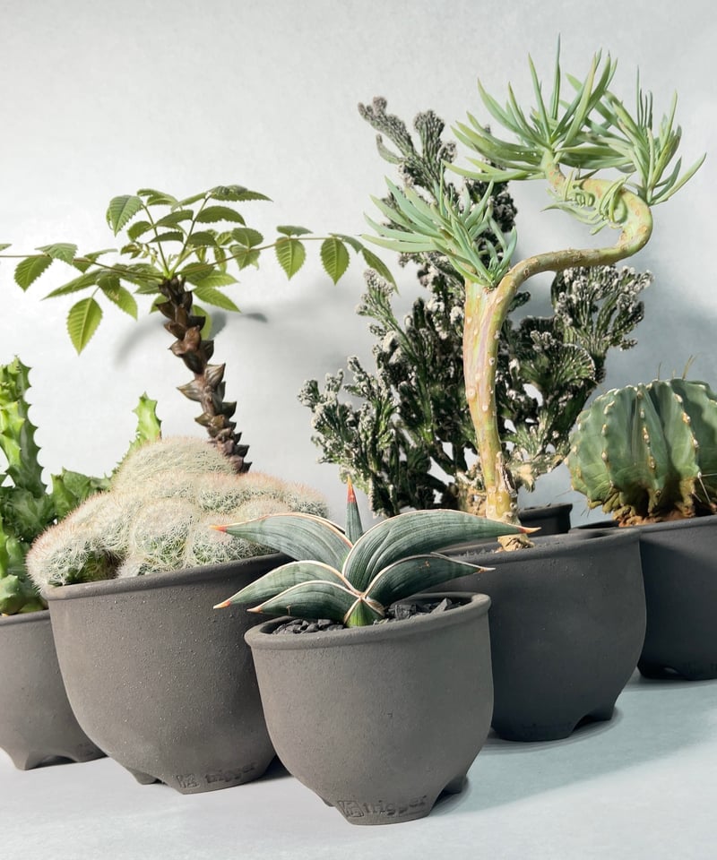 黒王丸 伝市鉢 黒燻伝市鉢・ML | t.roots