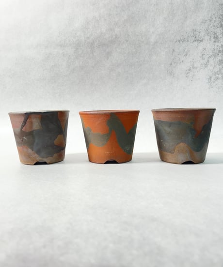 NOBORIBI BLACK・ＳＳ １