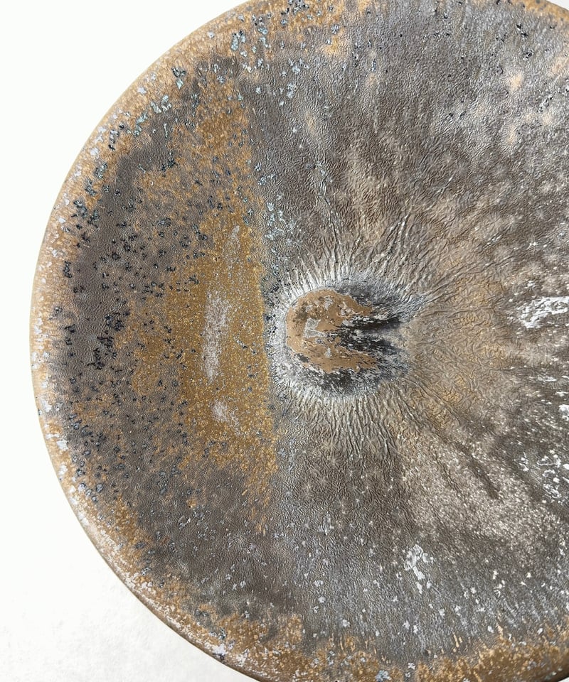 姫野翔太・金彩パスタ皿 | t.roots