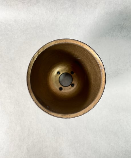 RYUSEN GOLD ４
