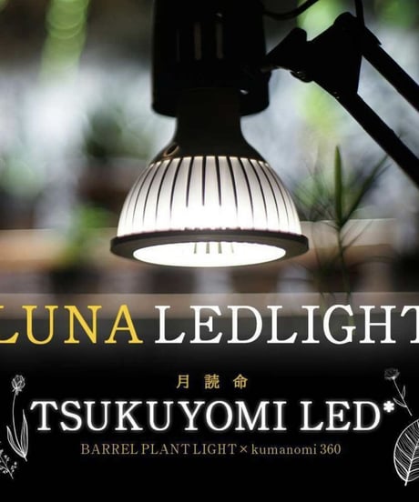 TSUKUYOMI LED 20W