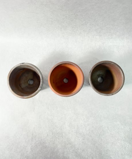 NOBORIBI BLACK・ＳＳ １