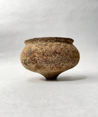 姫野翔太 金彩4寸皿 | t.roots