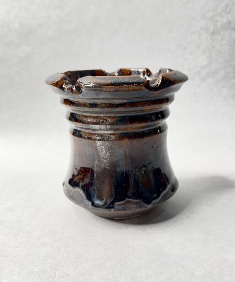 ピグマエア 現地球 姫野翔太鉢 小型 塊根植物 ピグマエア 現地球 姫野