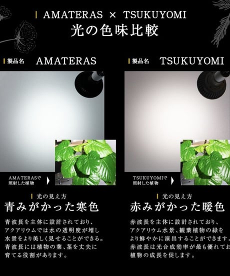 AMATERAS LED 20W
