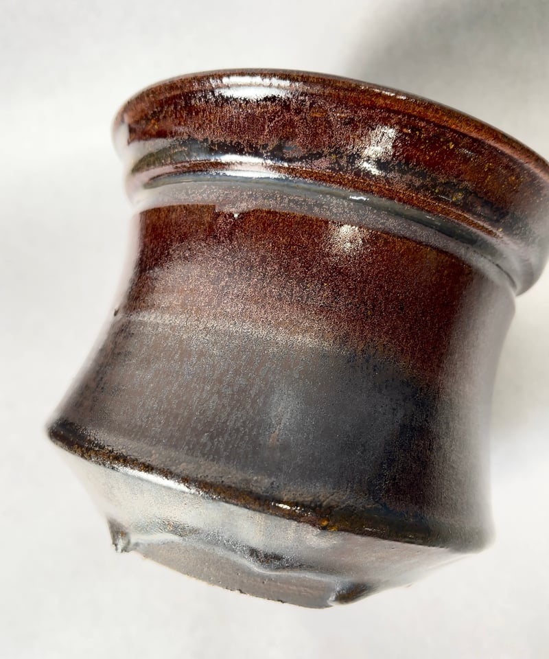 オールド株 大株 オベサ 姫野翔太鉢付き 姫野翔太 | t.roots