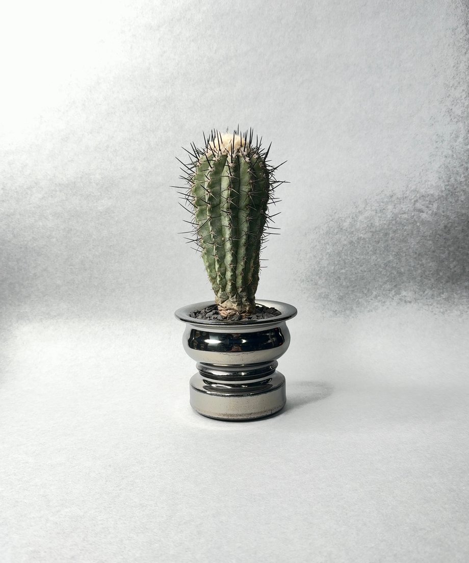 68ff014ec4137053291ef746