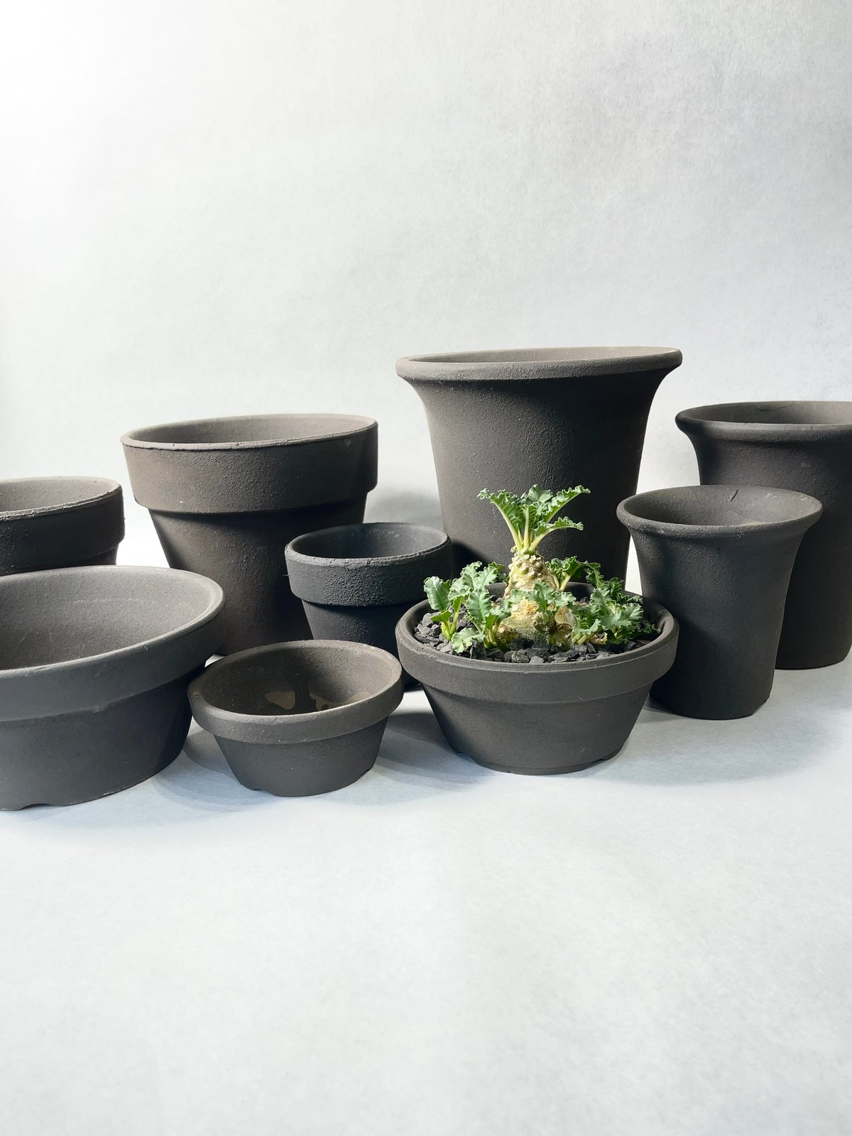 盆栽鉢 4号 鉄鉢 黒色 黒マット 釉 瀬戸焼 陶器 丸 浅型 小品 小 盆栽鉢 4号 鉄鉢 黒色 黒マット 釉 瀬戸焼 陶器 丸 浅型 小品 小