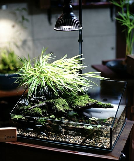 AMATERAS LED 10W