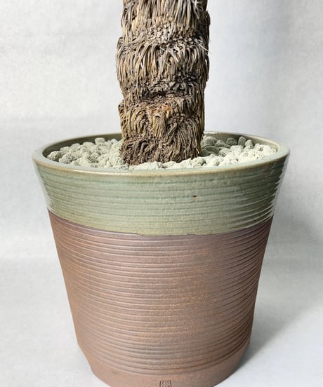 SAKAU Ash glaze・ＸＬ