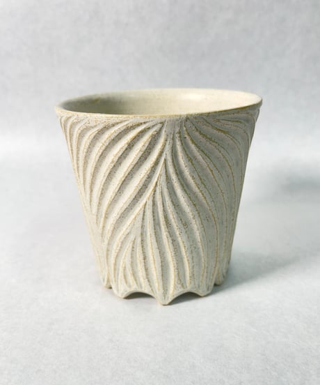 RYUSEN 新里竜子 植物 鉢 植木鉢 RYUSEN 新里竜子 植物 鉢 植木鉢 - メルカリ