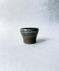 日照雨・ＳＳ  2026