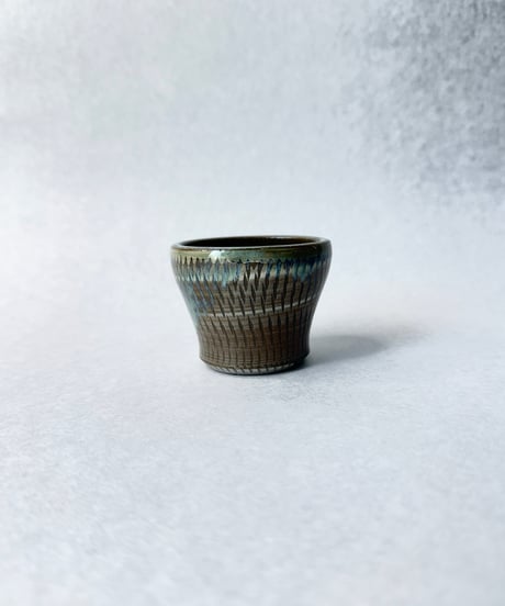 日照雨・ＳＳ  2026