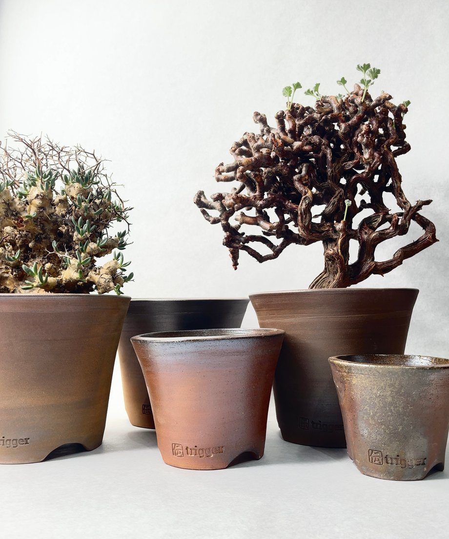 67eab0c903594544b383c29f