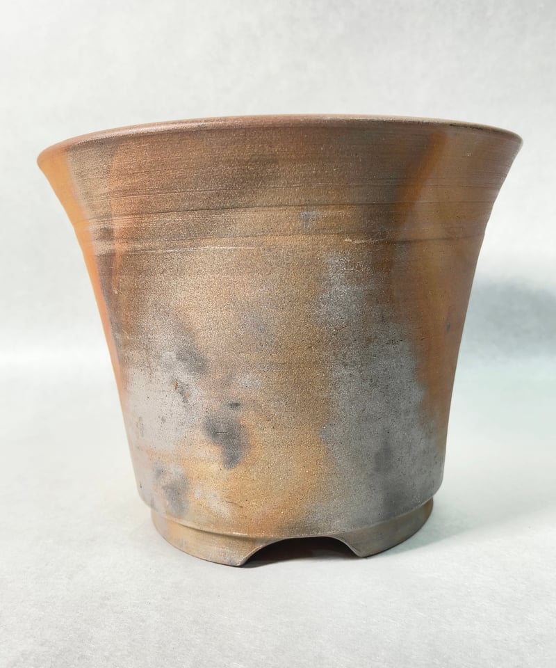 阪本 健 作家鉢 未使用品 【公式通販】