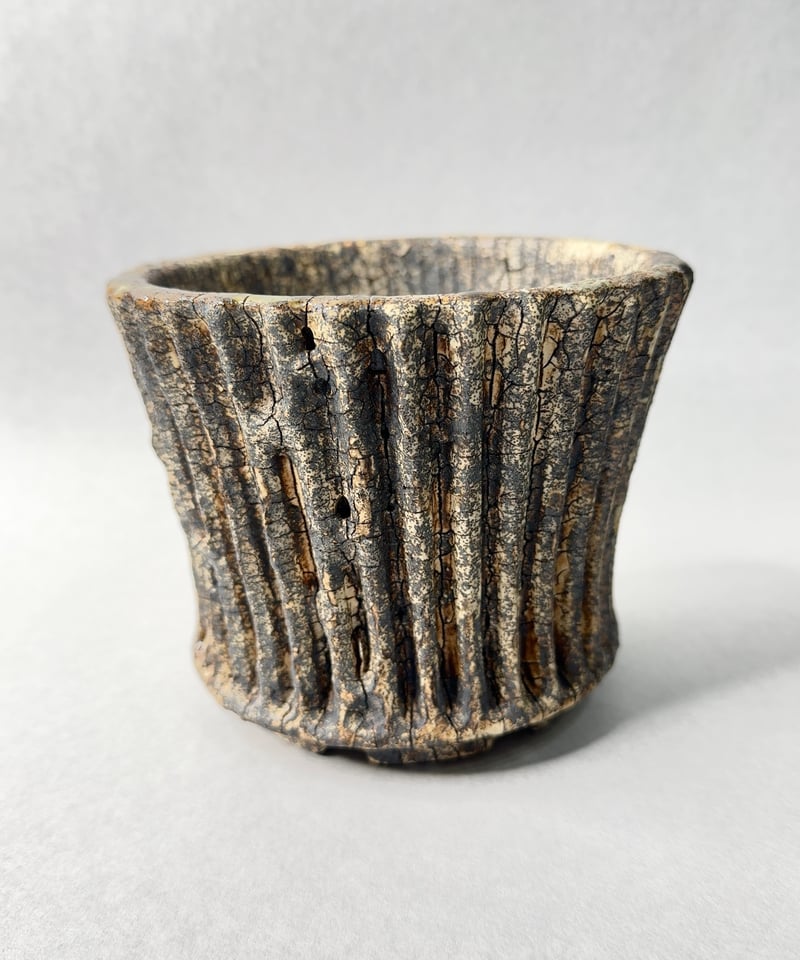 古賀文博 作家鉢 陶器鉢 古賀文博・植木鉢 廃墟系 | t.roots