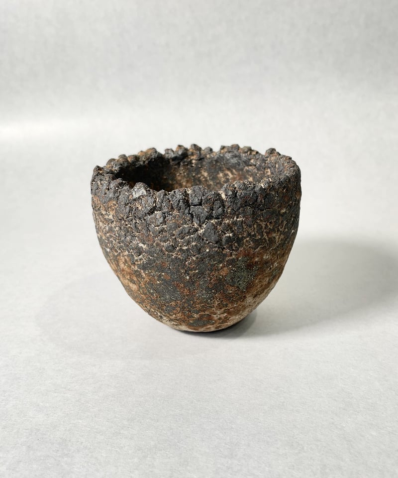 杉　石化　綴化　５号陶器鉢つき　激レア❗ fall・S | t.roots