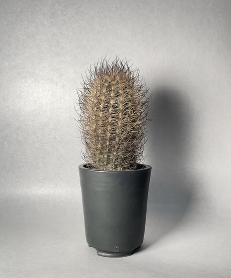 石墨・筒型Ｍ