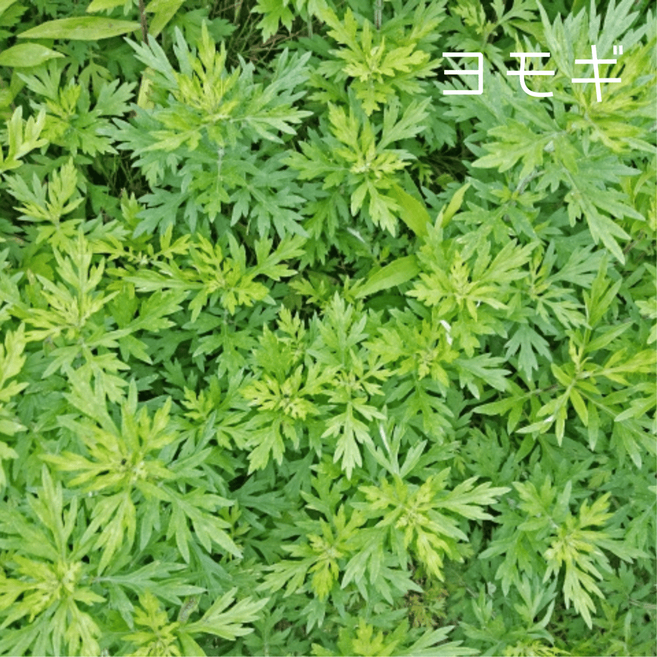 61f3f2320020fc7ea96b09f4