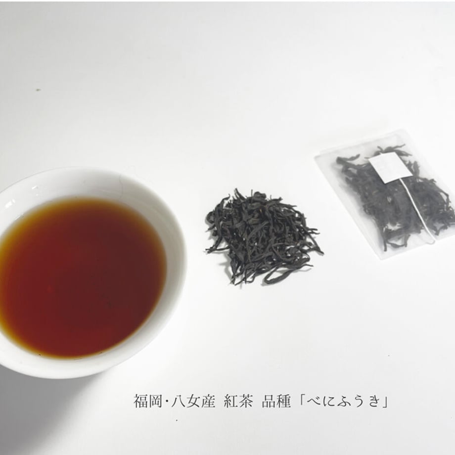 6455c4cb13061f00389e84b1