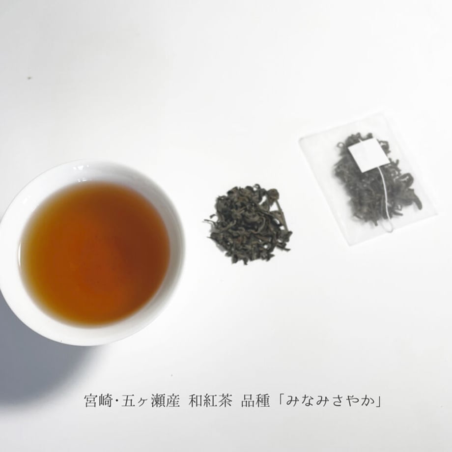6455c4cb13061f00389e84b1