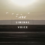 The Liminal Voice