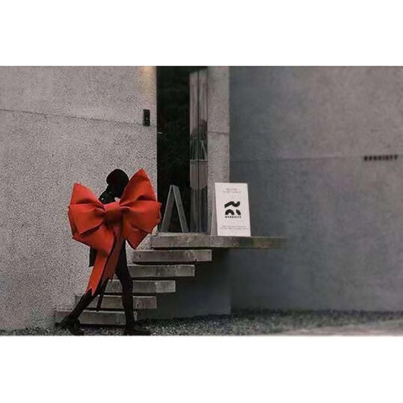 予約】大きな装飾リボン ɴᴏ.356 | ペット服のお店 SOL♛SOL