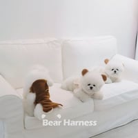 【即納】Bearハーネス       ɴᴏ.597