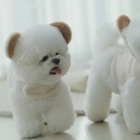 【即納】Bearハーネス       ɴᴏ.597