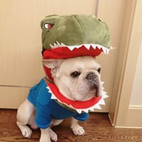 【予約】被り物  🦖🦈   ɴᴏ.598