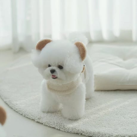 【即納】Bearハーネス       ɴᴏ.597