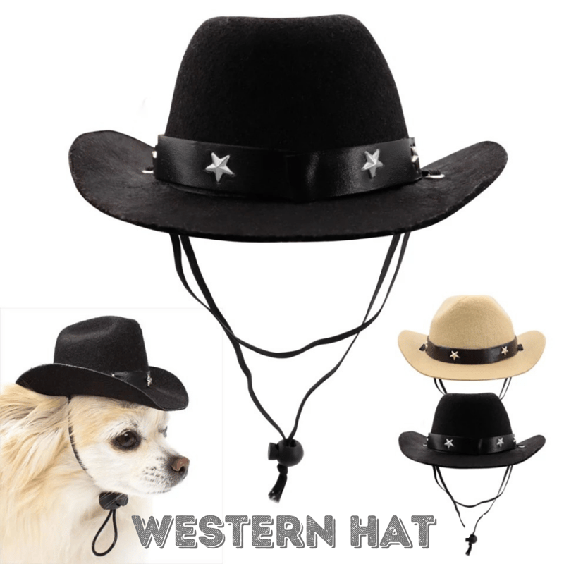 予約】ウエスタンハット ɴᴏ.243 | ペット服のお店 SOL♛SOL