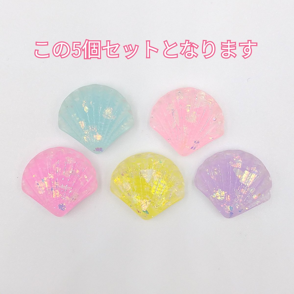エヌです　COWRIES　マリコリセテダカラガイ　貝殻　おまけ付き D440-1】貝殻 ラメ 5個セット カラーミックス | inree