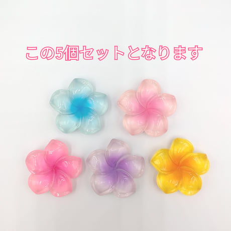 【D854-1】ハイビスカス　5色セット　カラーミックス