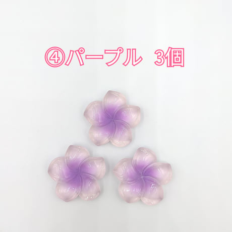 【D854-2】ハイビスカス　同色3個