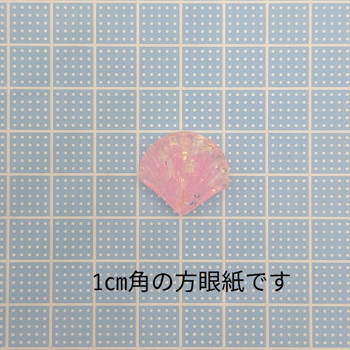 エヌです　COWRIES　マリコリセテダカラガイ　貝殻　おまけ付き D440-1】貝殻 ラメ 5個セット カラーミックス | inree