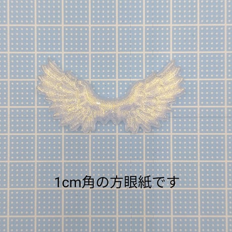 【D618-2】羽　オーロラ　同色2個