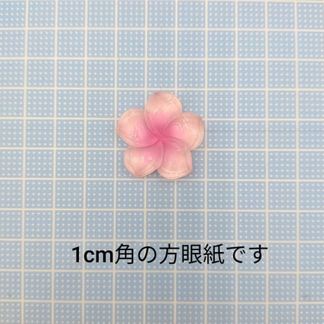【D854-1】ハイビスカス　5色セット　カラーミックス