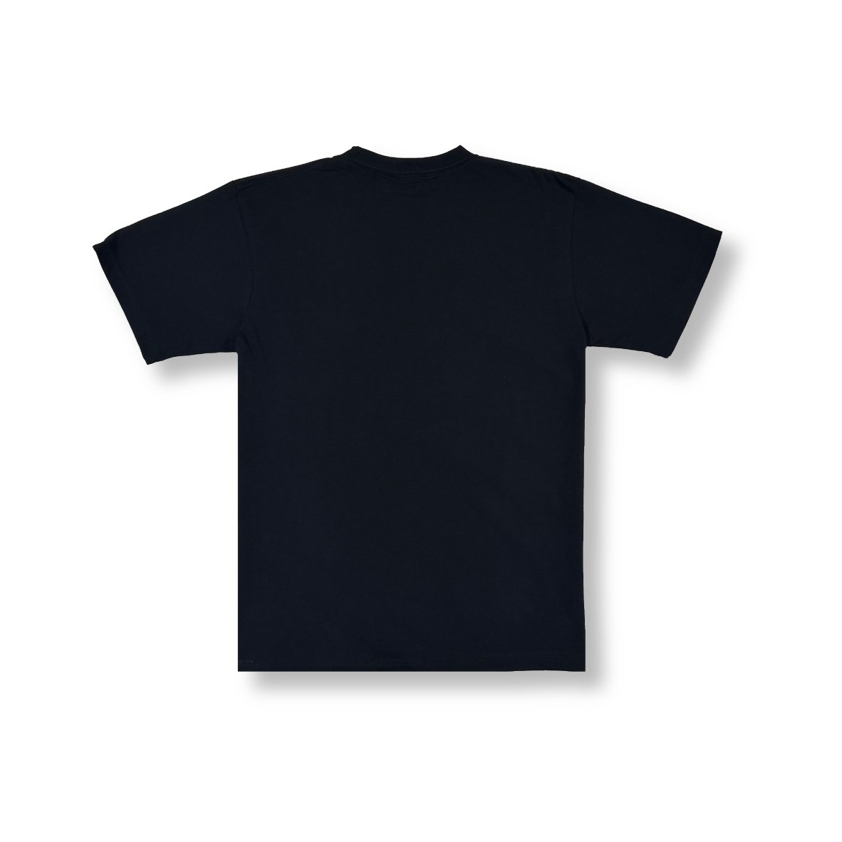 TEGAKI LOGO T-SHIRT / BLACK<L-25-164> | LUDITT