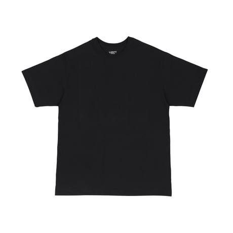 AUTHENTIC 8.0oz T-SHIRT / BLACK<L-2246>