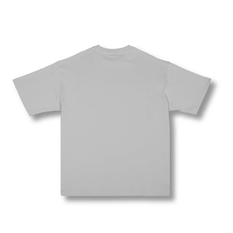 LDT Heavy Weight T-shirt / Gray<L-2369>